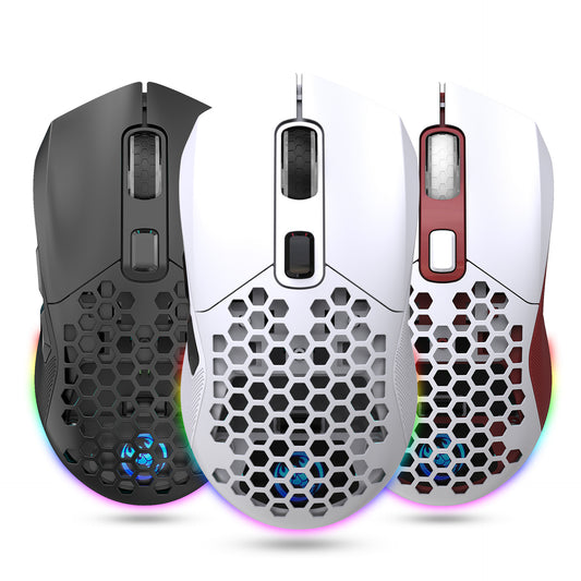 Hollow Wireless Rechargeable Mouse, RGB Lighting, 4800 DPI, Interchangeable Back Cover, Lightweight Gaming Mouse